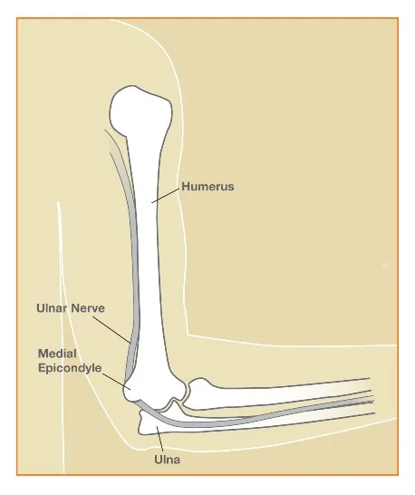 Ulnar Nerve at elbow joint (inner side of elbow)